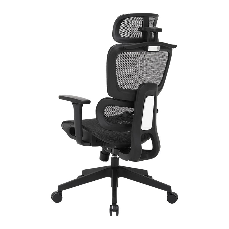 Cadeira Ergonomica DT3 Valor XL, Preto, 14822-7 - miniatura 8