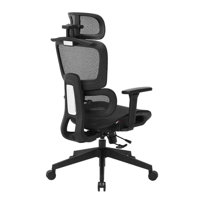 Cadeira Ergonomica DT3 Valor XL, Preto, 14822-7 - miniatura 9