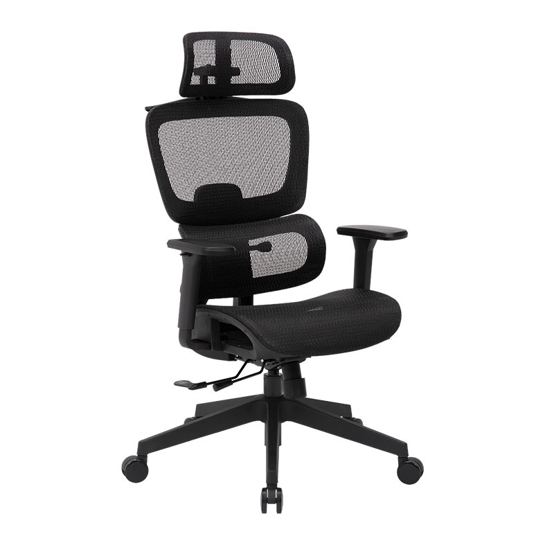 Cadeira Ergonomica DT3 Valor XL, Preto, 14822-7 - miniatura 3