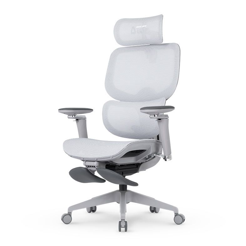 Cadeira Ergonomica DT3 Ergonomie, Cinza, 14436-8