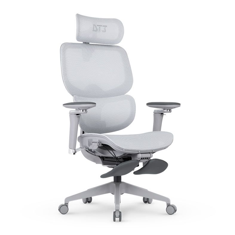 Cadeira Ergonomica DT3 Ergonomie, Cinza, 14436-8