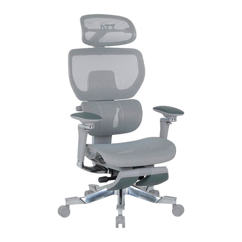 Cadeira Ergonomica DT3 ErgoOne, Cinza, 14524-6