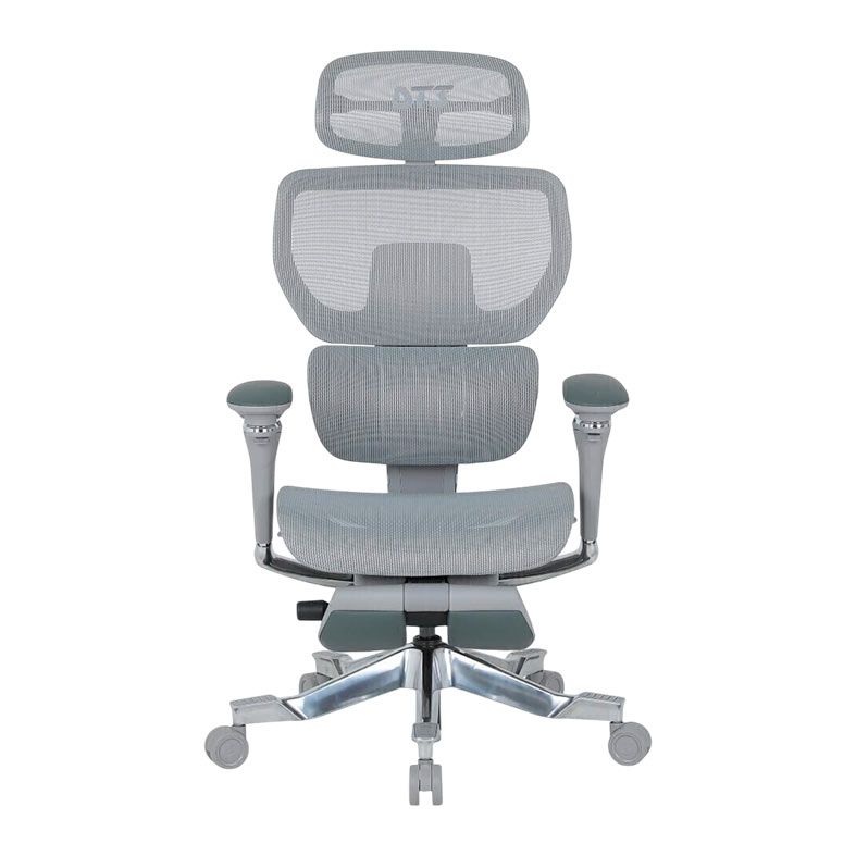 Cadeira Ergonomica DT3 ErgoOne, Cinza, 14524-6