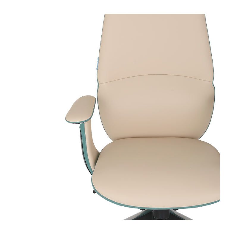 Cadeira Ergonomica DT3 Presidente Vivance, Chalky, 14569-5