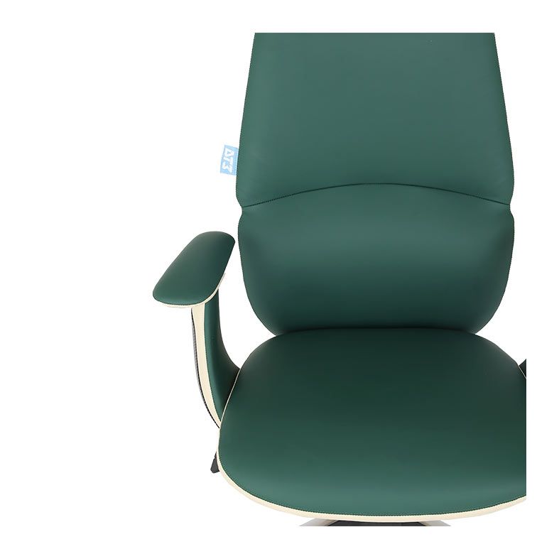 Cadeira Ergonomica DT3 Presidente Vivance, Tropical, 14572-9