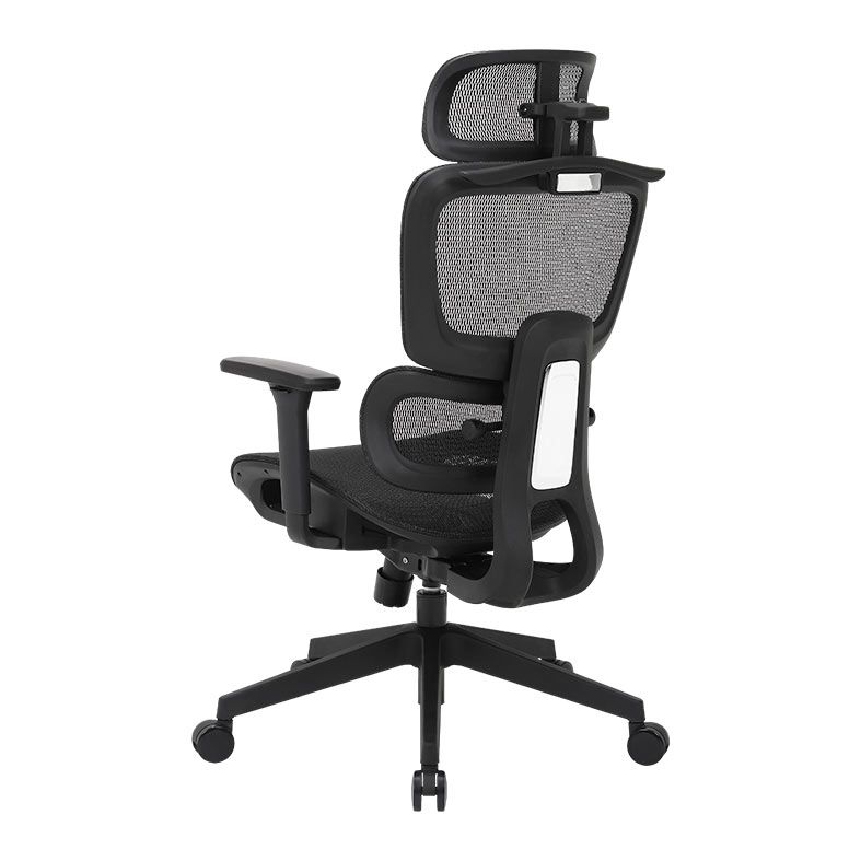 Cadeira Ergonomica DT3 Valor XL, Preto, 14822-7