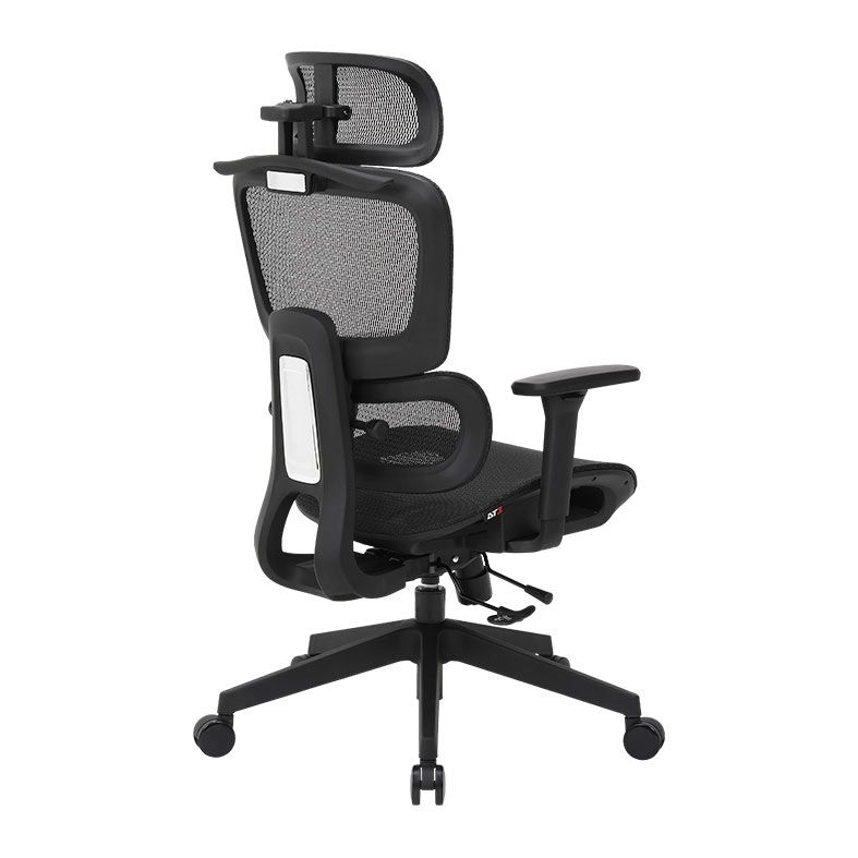 Cadeira Ergonomica DT3 Valor XL, Preto, 14822-7