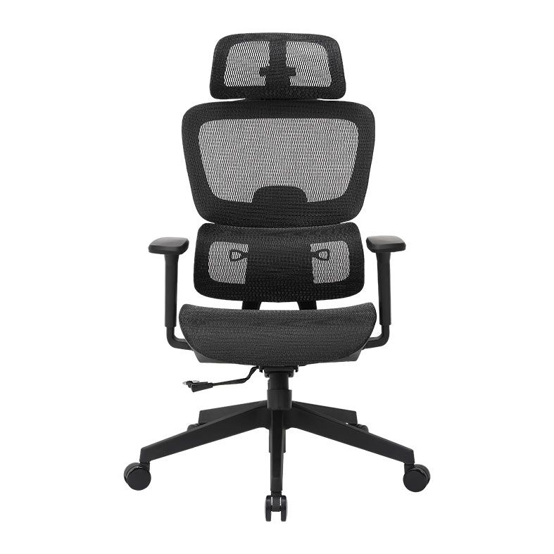 Cadeira Ergonomica DT3 Valor XL, Preto, 14822-7