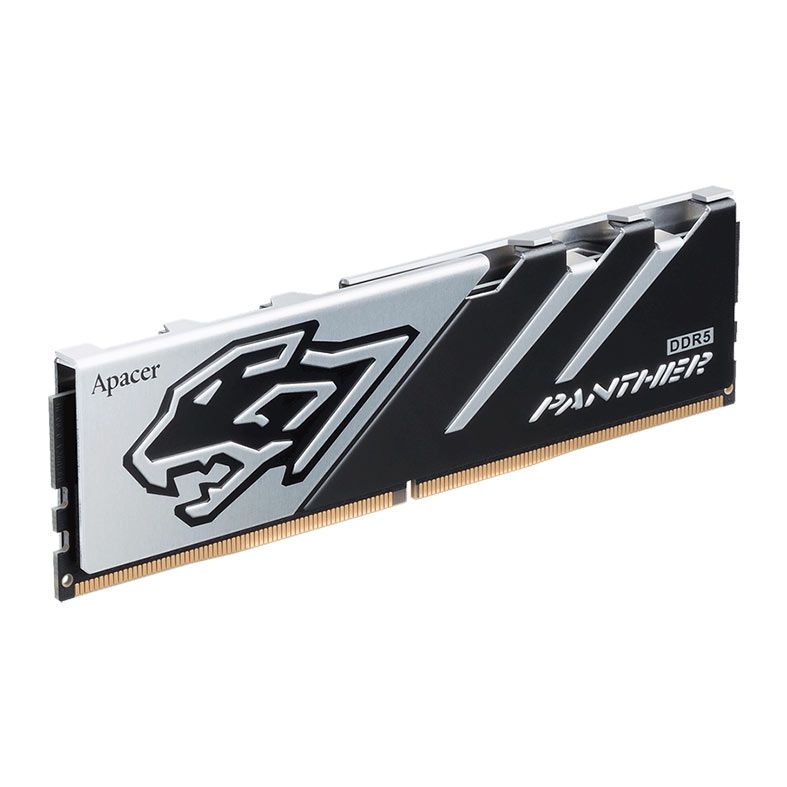 Memoria Apacer Panther, 16GB (1x16GB), DDR5, 5600MHz, C40, Preto e Prata, AH5U16G56C5227BAA-1