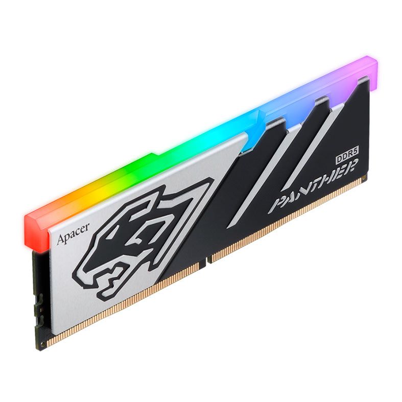 Memoria Apacer Panther, RGB, 16GB (1x16GB), DDR5, 6200MHz, C40, Preto e Prata, AH5U16G62C5329BAA-1