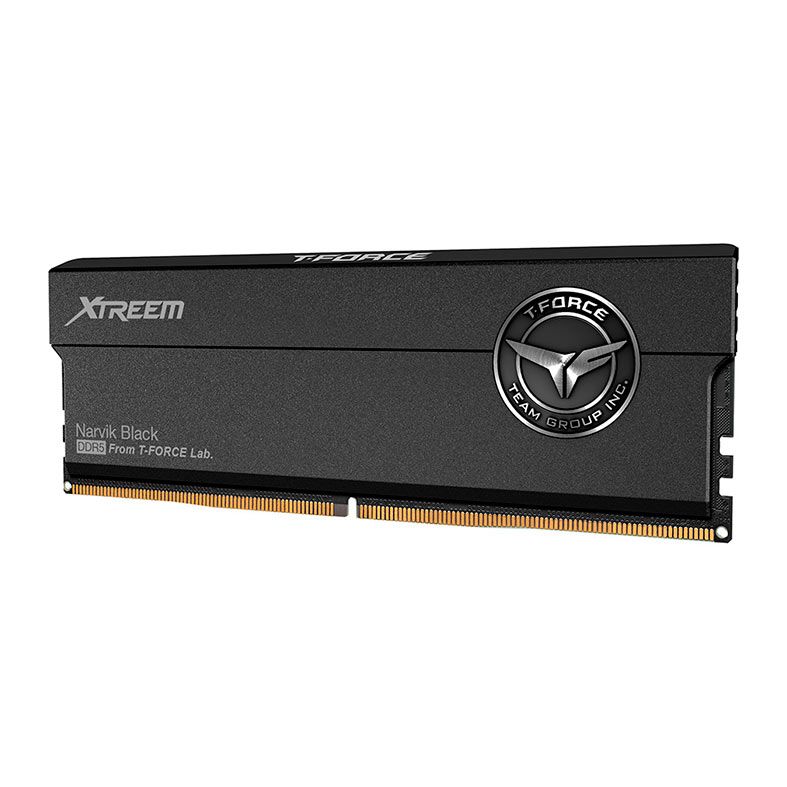 Memoria Team Group Xtreem, 32GB, (2X16GB), DDR5, 7600MHz, C36, Preto, FFXD532G7600HC36FDC01