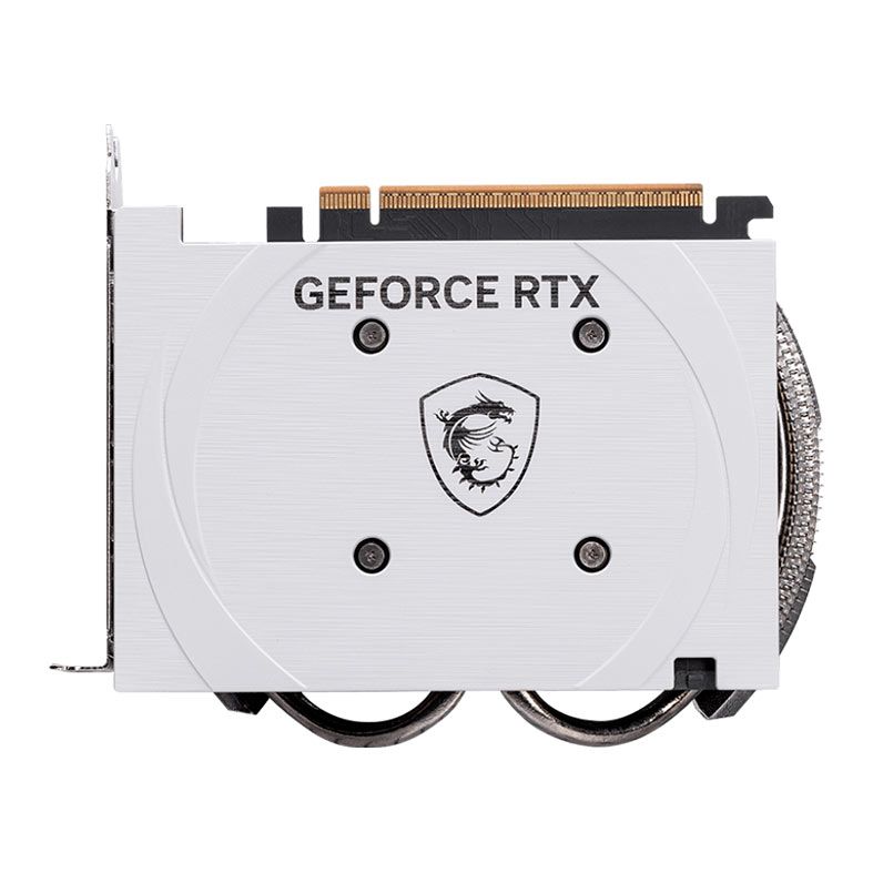 Placa de Video MSI GeForce RTX 5060 Cyclone OC, 8GB, GDDR7, 128-bit, G5060-8CC-NAC