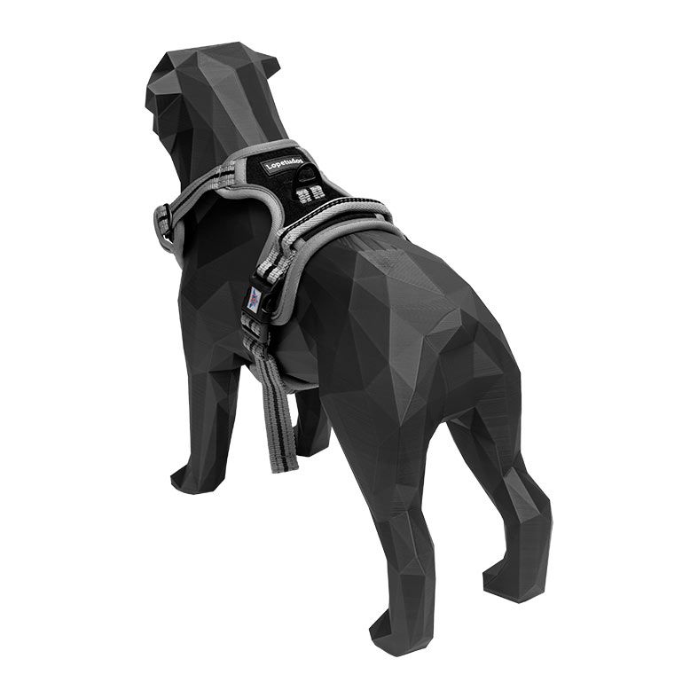 Peitoral Lopetudos Cloud1, G, Preto, LP-PTCD-GBK