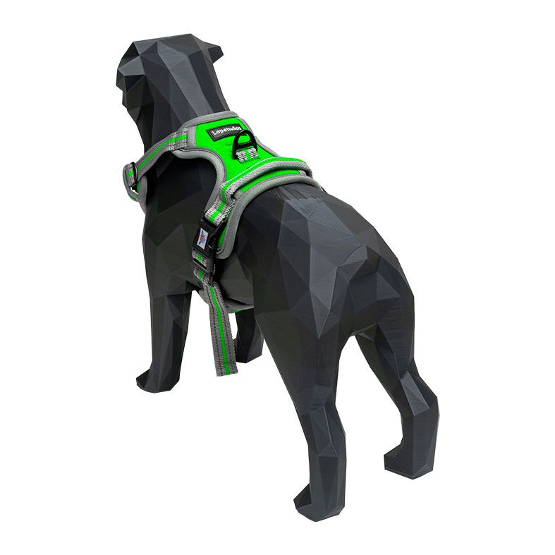 Peitoral Lopetudos Cloud1, M, Verde, LP-PTCD-MGN