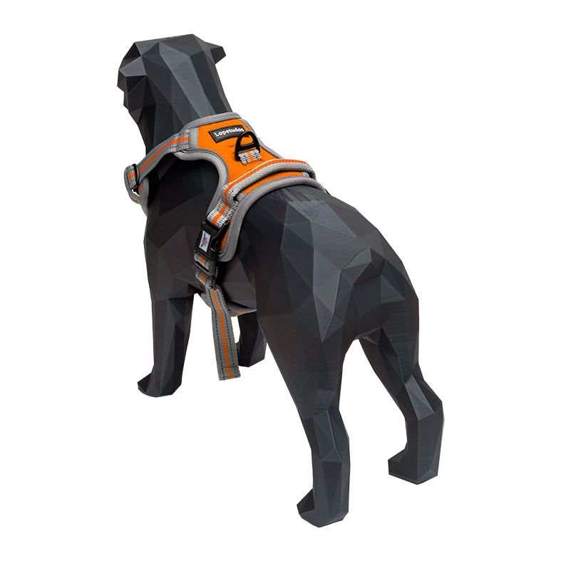 Peitoral Lopetudos Cloud1, P, Laranja, LP-PTCD-PORG
