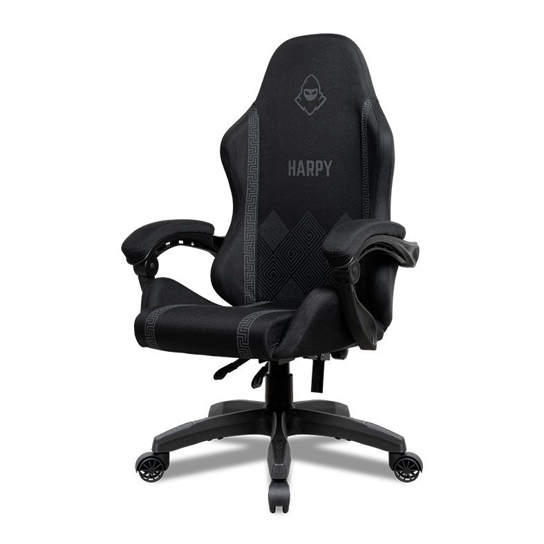 Cadeira Gamer Mancer Harpy, Preto e Cinza, MCR-HRP-BG