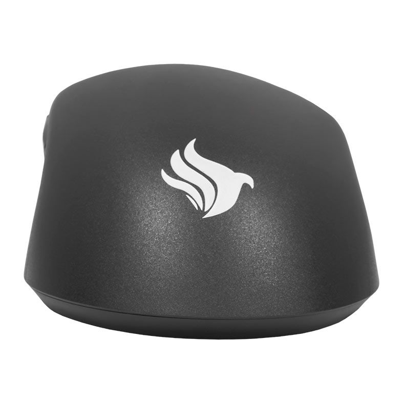 Mouse Gamer Pichau Star Sprint, Ultra Leve 46g, 26000DPI, 5 Botoes, 1000Hz, PAW3395, Preto, PCH-SSB-BLK
