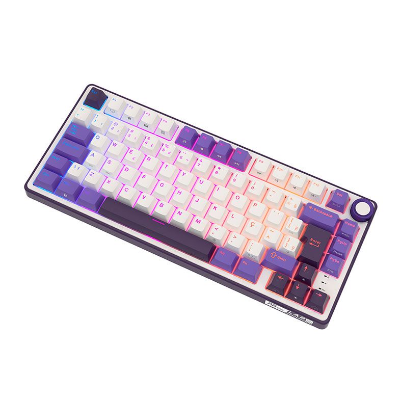Teclado Mecanico Gamer Royal Kludge RKR75, RGB, ABNT2, Switch Brown, Branco e Roxo, RKR75-BB-BW-POR
