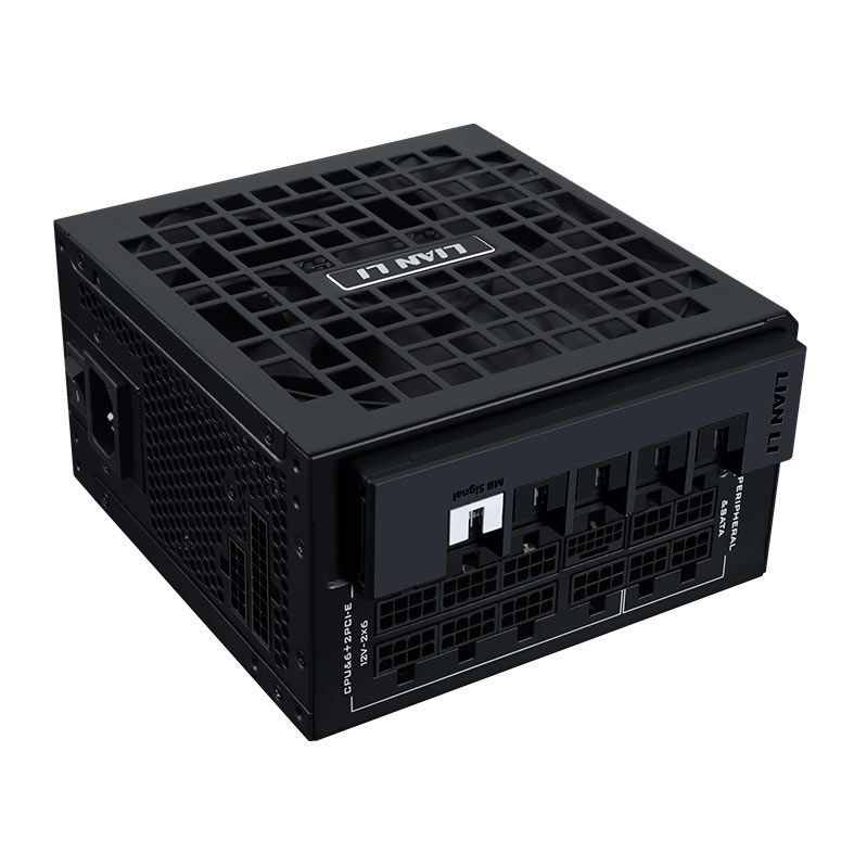 LIAN LI RS1000G 1000W with RS hub 電源ユニット Fonte Lian Li RS1000G BH BR, 1000W, Full Modular, 80 Plus Gold