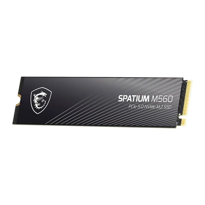 SSD MSI Spatium M560, 2TB, M.2 2280, PCIe NVMe, Leitura 10.300MB/s, Gravacao 8.700MB/s, S78-440Q940-P83