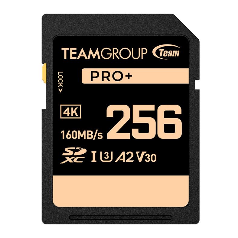 Cartao de Memoria Team Group V30 PRO+, 256GB, SDXC, UHS-I, TPPSDX256GIA2V3001