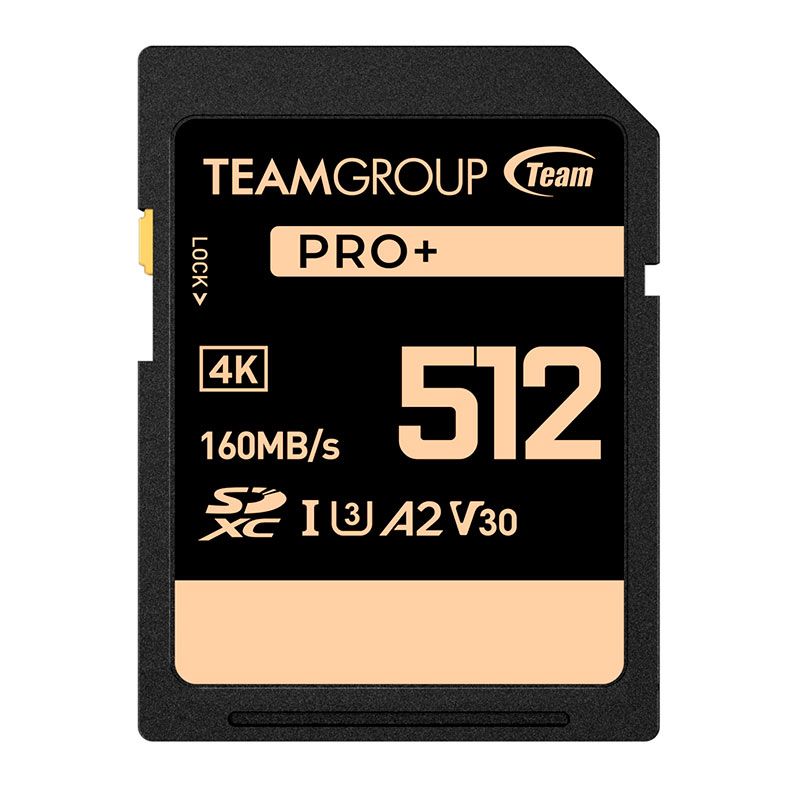 Cartao de Memoria Team Group V30 PRO+, 512GB, SDXC, UHS-I, TPPSDX512GIA2V3001