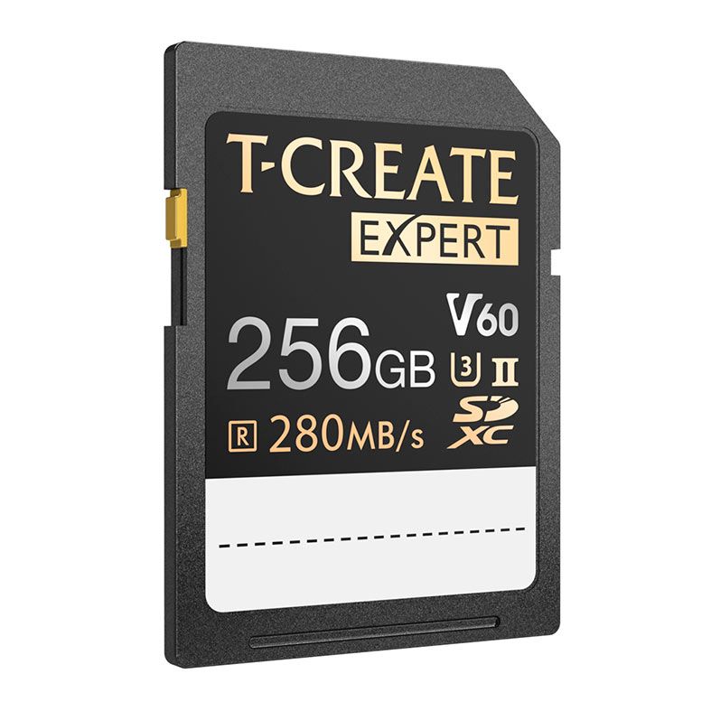 Cartao de Memoria Team Group T-Create Expert, 256GB, SDXC, UHS-II, V60, TTCSDY256GIIV6001