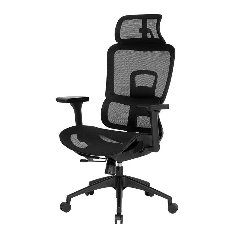 Cadeira Ergonomica DT3 Valor, Preto, 14660-7