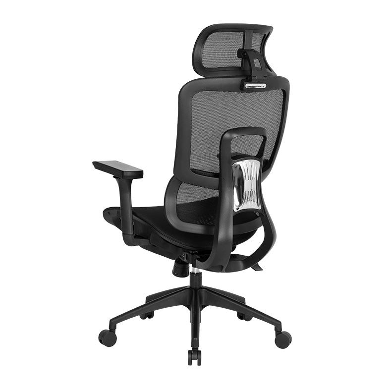 Cadeira Ergonomica DT3 Valor, Preto, 14660-7