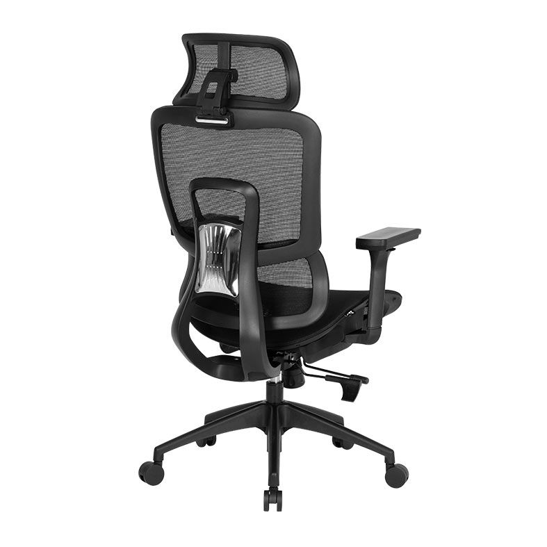 Cadeira Ergonomica DT3 Valor, Preto, 14660-7