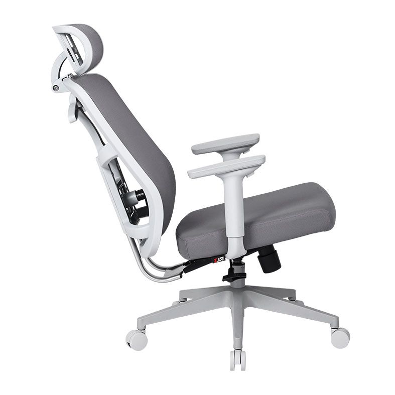 Cadeira Ergonomica DT3 Diana Home, Grey Frame, 14671-9