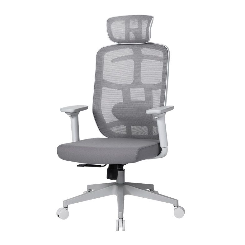 Cadeira Ergonomica DT3 Diana Home, Grey Frame, 14671-9
