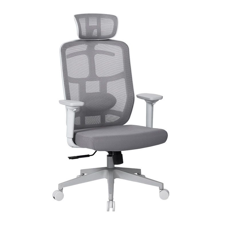 Cadeira Ergonomica DT3 Diana Home, Grey Frame, 14671-9