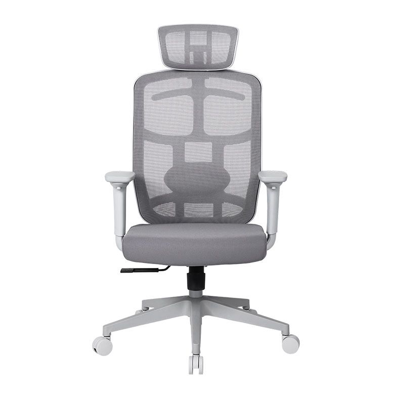 Cadeira Ergonomica DT3 Diana Home, Grey Frame, 14671-9