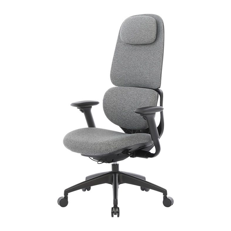 Cadeira Ergonomica DT3 Presidente Caeli, Ashen, 14710-3