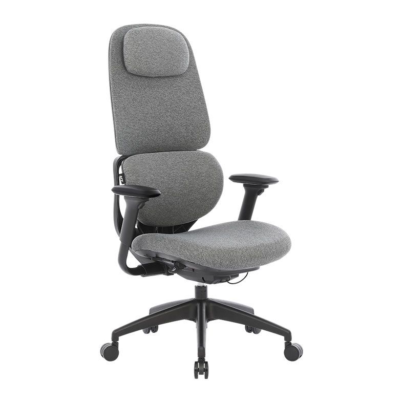 Cadeira Ergonomica DT3 Presidente Caeli, Ashen, 14710-3
