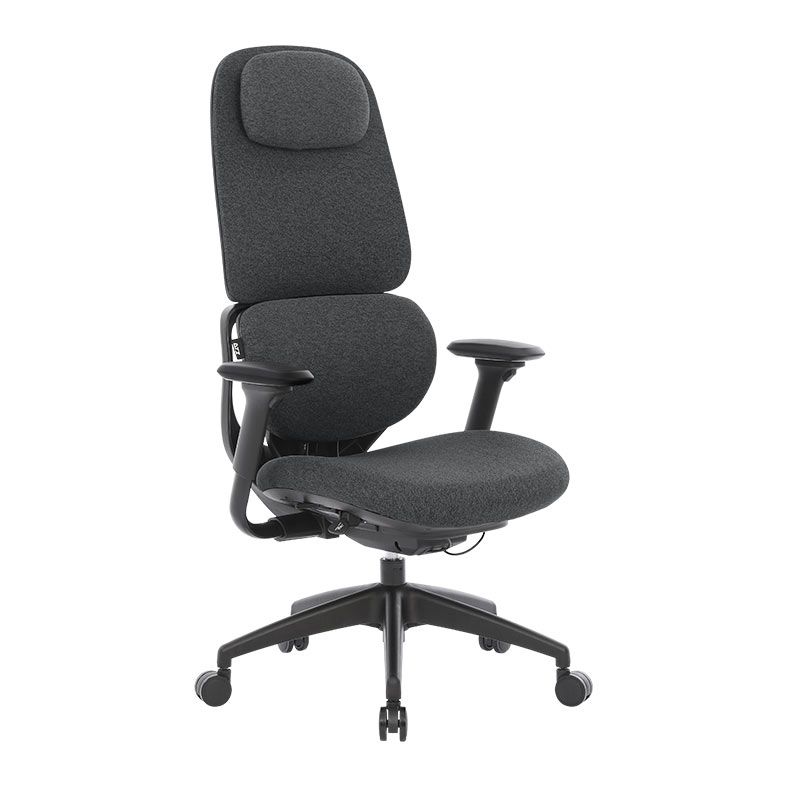 Cadeira Ergonomica DT3 Presidente Caeli, Dark Grey, 14711-4