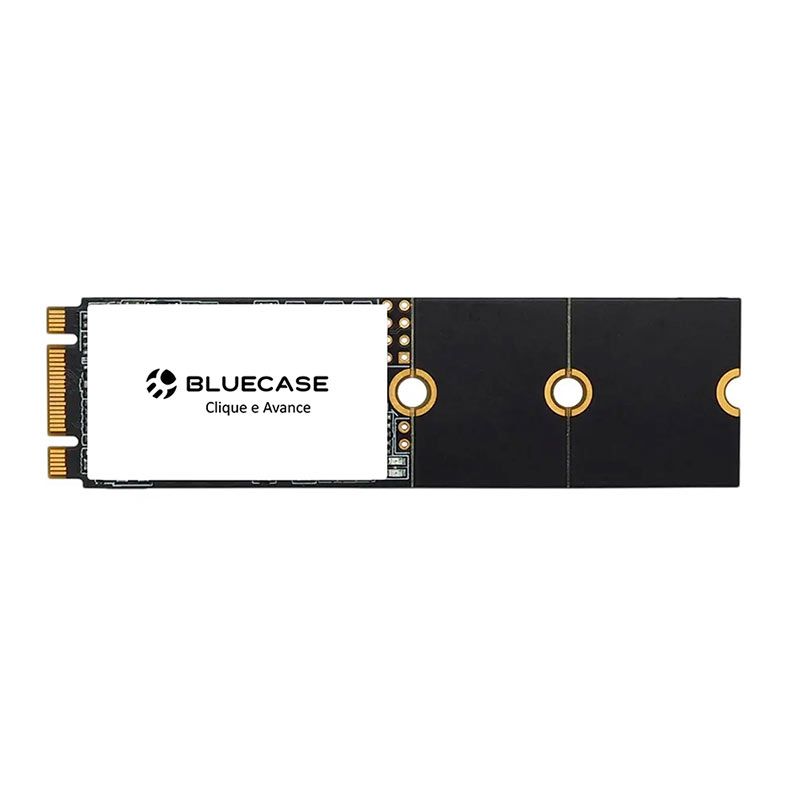SSD BlueCase Horizon 256GB, M.2 2280, Leitura 560MB/s, Gravacao 500MB/s, BS2M10-256G