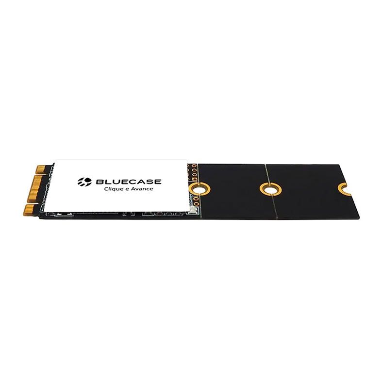 SSD BlueCase Horizon 256GB, M.2 2280, Leitura 560MB/s, Gravacao 500MB/s, BS2M10-256G
