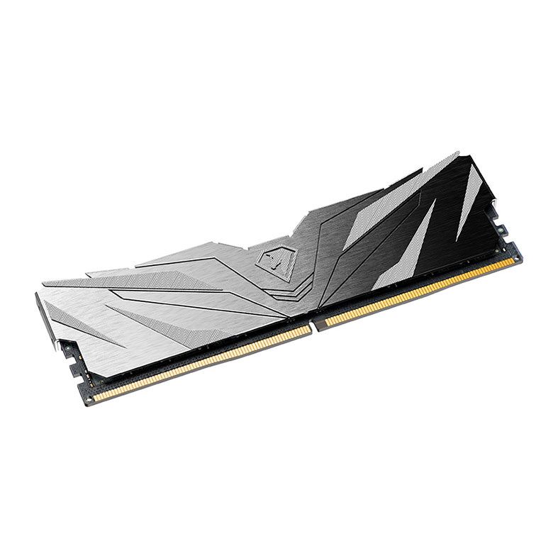 Memoria Netac Shadow II, 16GB (1x16GB), DDR5, 5600MHz, C46, Preto, NTSWD5P56SP-16K