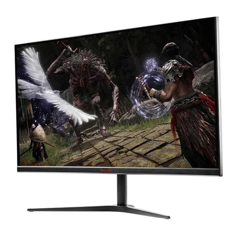 Monitor Gamer TGT Altay T2 PRO, 24.5 Pol. VA, FHD, 1ms, 165Hz, Freesync, HDMI/DP, TGT-ATTP2-BL01