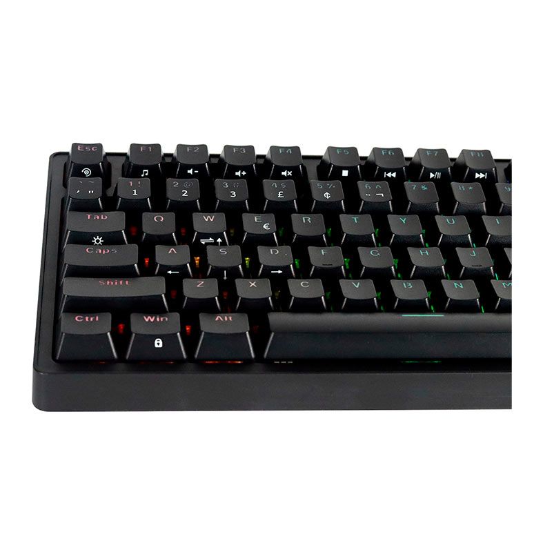 Teclado Mecanico Pcyes Rasec, RGB, ABNT2, Switch Marrom, Preto, TWGBRRGB