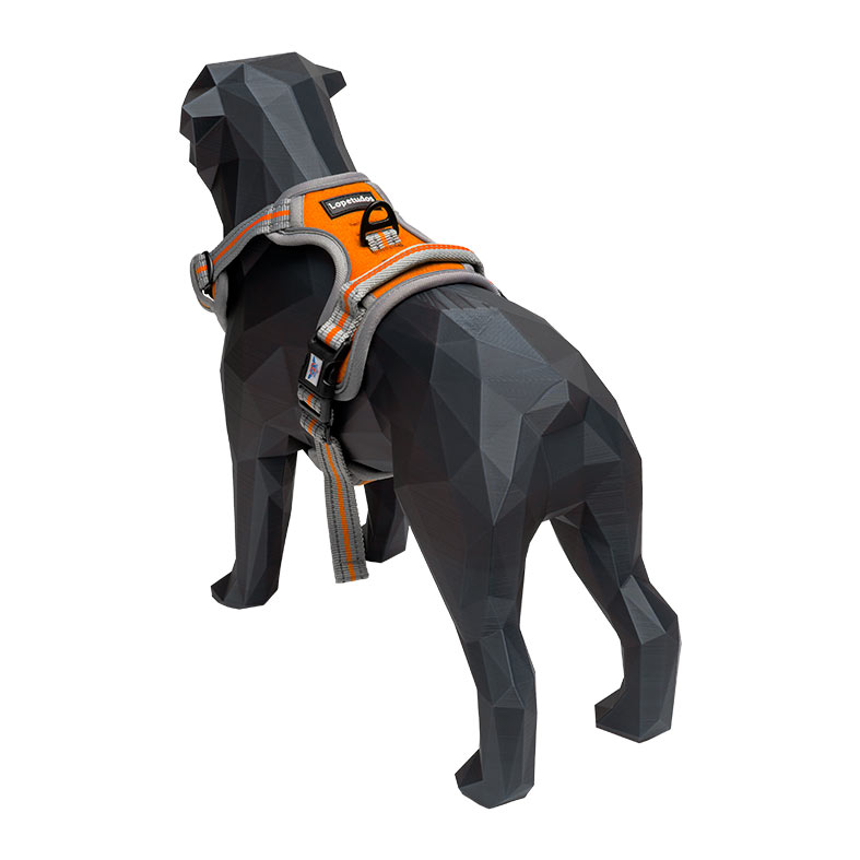 Peitoral Lopetudos Cloud1, M, Laranja, LP-PTCD-MORG - miniatura 5