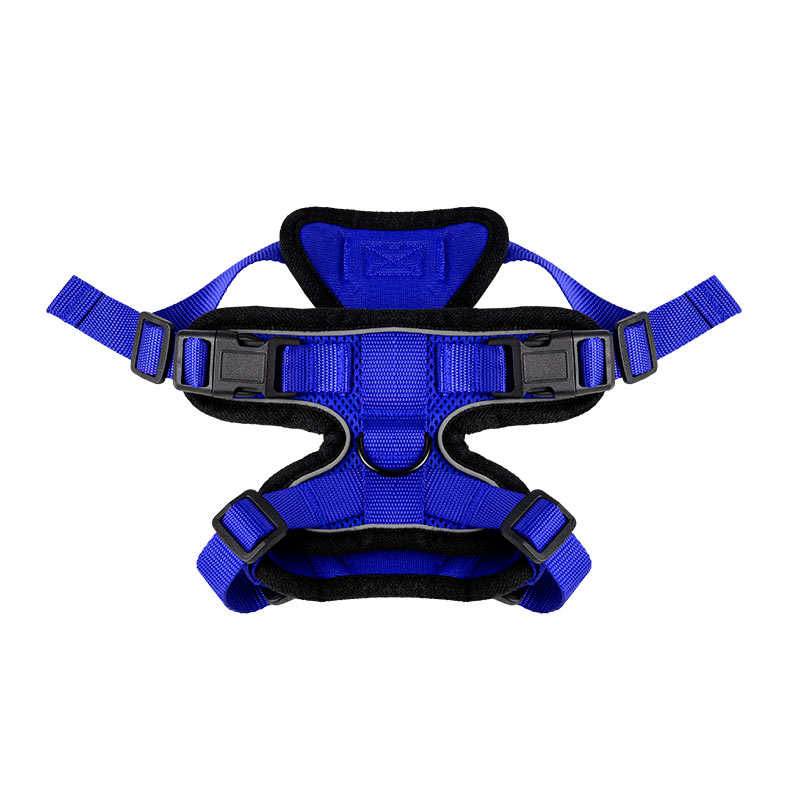 Peitoral Lopetudos KittyComport1, PP, Azul, LP-PTKC-PPBL - miniatura 5