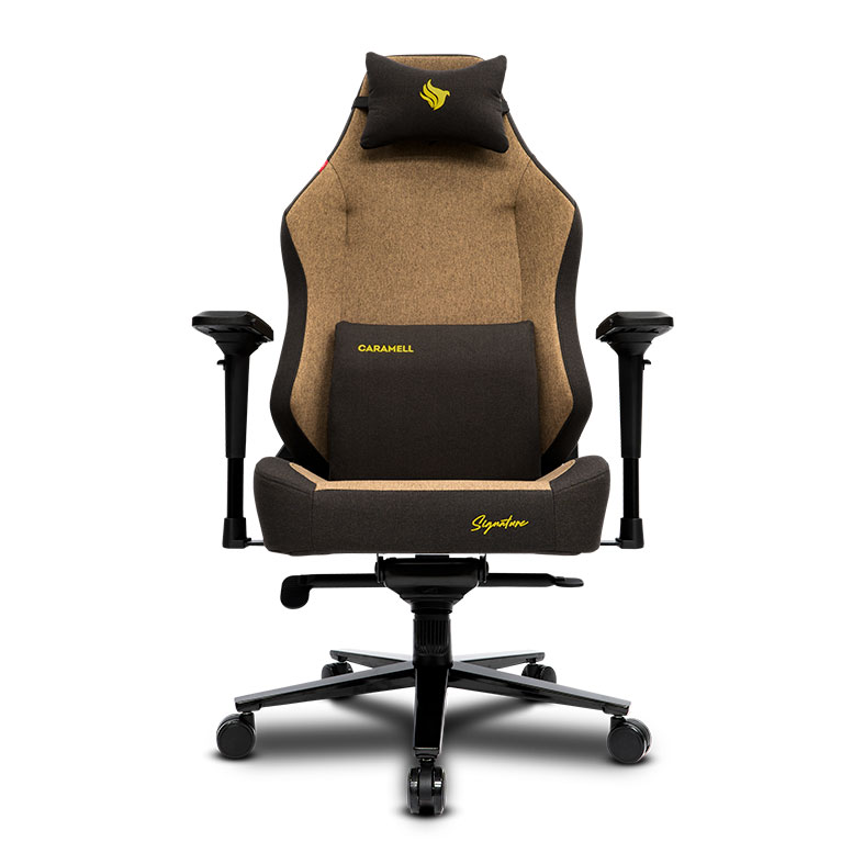 Cadeira Gamer Pichau Nova Signature Caramel, Espuma Moldada, Braco 4D, Marrom, PG-NVS-CR01 - miniatura 5
