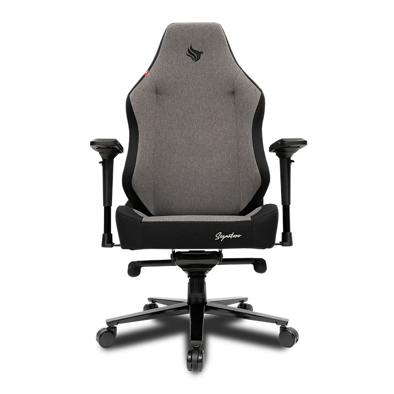 Cadeira Gamer Pichau Nova Signature Marble, Espuma Moldada, Braco 4D, Cinza, PG-NVS-MR01 - miniatura 8